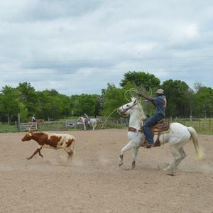 Meet your Posher, Sedric